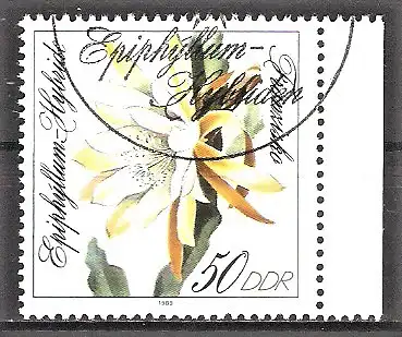 Briefmarke DDR Mi.Nr. 3278 o Seitenrand rechts - Blattkakteenzüchtungen 1989 / Epiphyllum-Hybride „Franzisko“