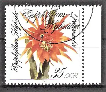 Briefmarke DDR Mi.Nr. 3277 o Seitenrand rechts - Blattkakteenzüchtungen 1989 / Epiphyllum-Hybride „Feuerzauber“