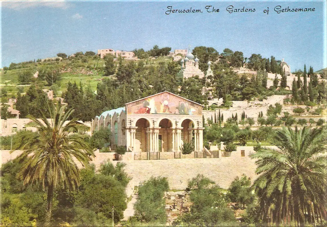 Ansichtskarte Israel - Jerusalem / Kirche der Nationen in den Gärten des Getsemani (2184)