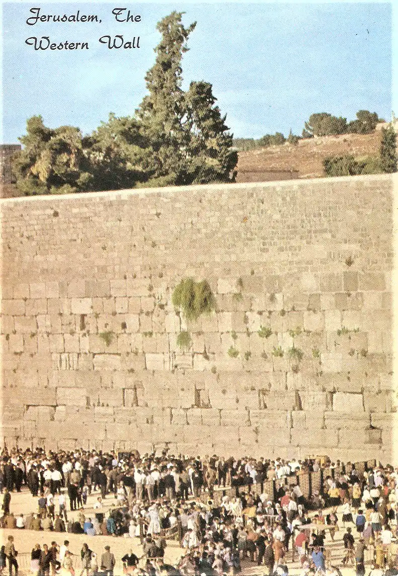 Ansichtskarte Israel - Jerusalem / Klagemauer (2146)