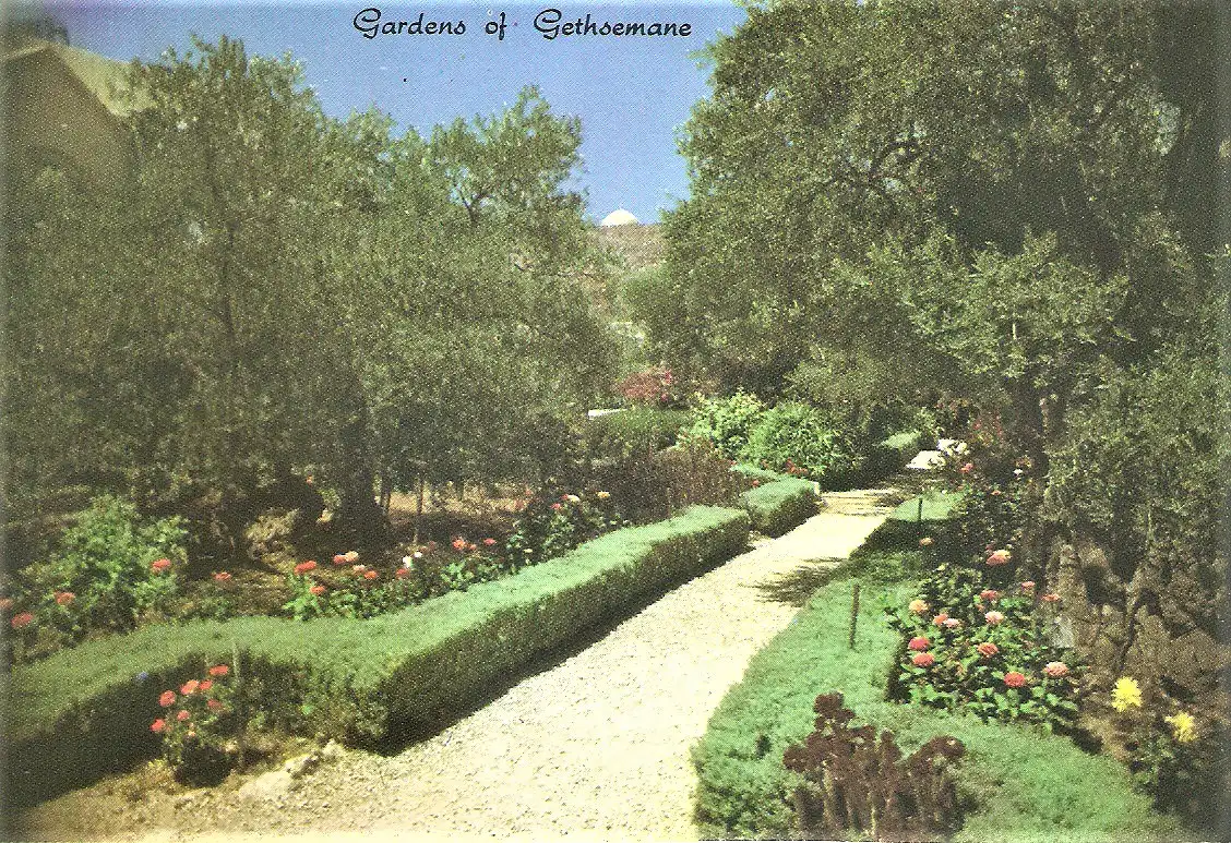 Ansichtskarte Israel - Jerusalem / Gärten am Ölberg (1933)