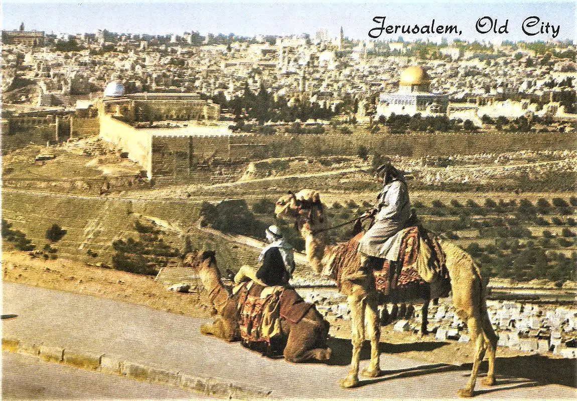 Ansichtskarte Israel - Jerusalem / Araber auf Kamelen vor der Jerusalemer Altstadt (1926)