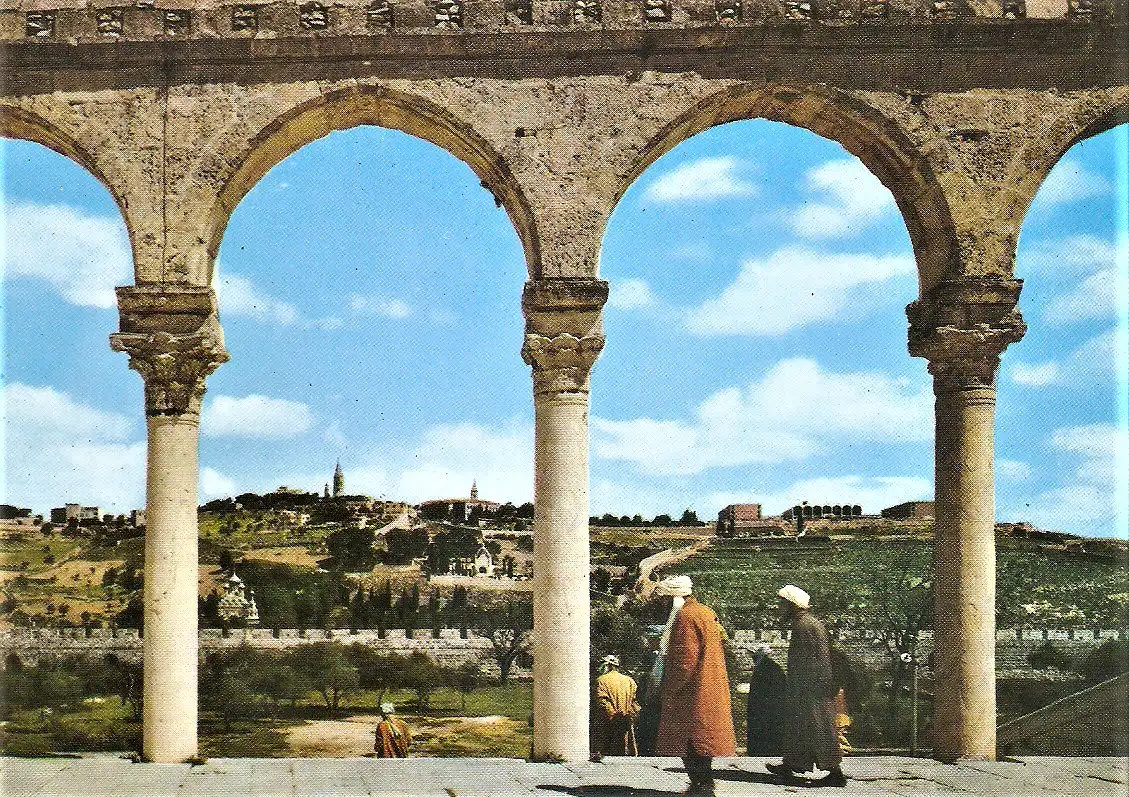 Ansichtskarte Israel - Jerusalem / Der Ölberg - The Mount of Olives (1906)