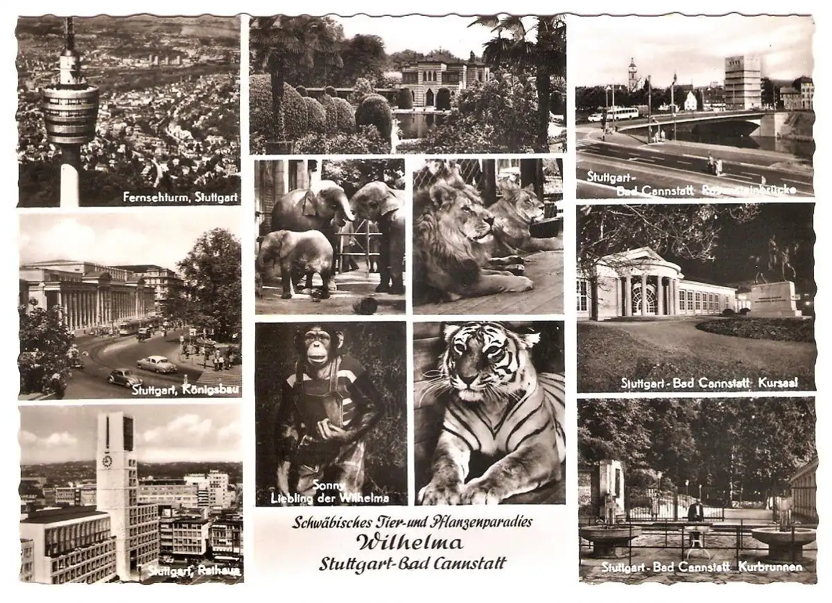 Ansichtskarte Deutschland - Stuttgart - Bad Cannstatt / Tier- und Pflanzenparadies Wilhelma (2576)