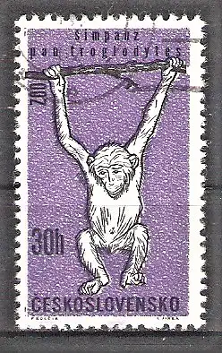 Briefmarke Tschechoslowakei Mi.Nr. 1336 o Tiere 1962 / Schimpanse (Pan satyrus)