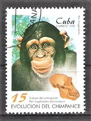 Briefmarke Cuba Mi.Nr. 4107 o Evolution des Schimpansen 1998 / Schimpanse (Pan troglodytes)