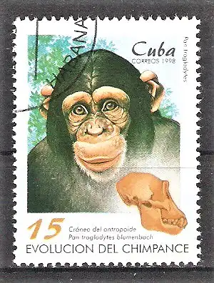 Briefmarke Cuba Mi.Nr. 4107 o Schimpanse (Pan troglodytes)