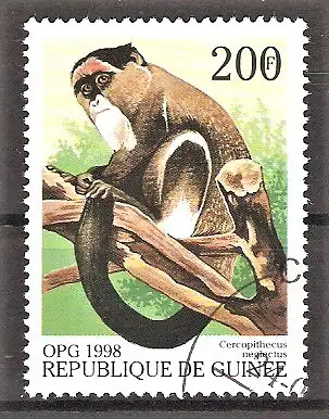 Briefmarke Guinea Mi.Nr. 1952 o Affen aus aller Welt 1998 / Brazzameerkatze (Cercopithecus neglectus)