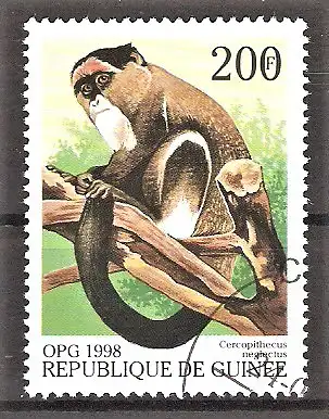 Briefmarke Guinea Mi.Nr. 1952 o Brazzameerkatze (Cercopithecus neglectus)