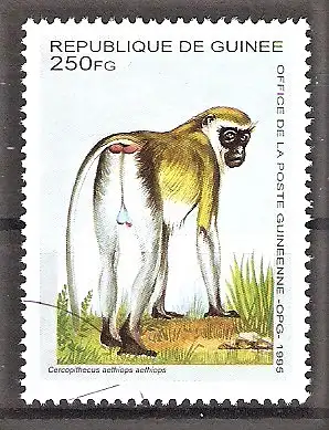 Briefmarke Guinea Mi.Nr. 1534 o Afrikanische Tiere 1995 / Grüne Meerkatze (Cercopithecus aethiops)