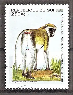 Briefmarke Guinea Mi.Nr. 1534 o Grüne Meerkatze (Cercopithecus aethiops)