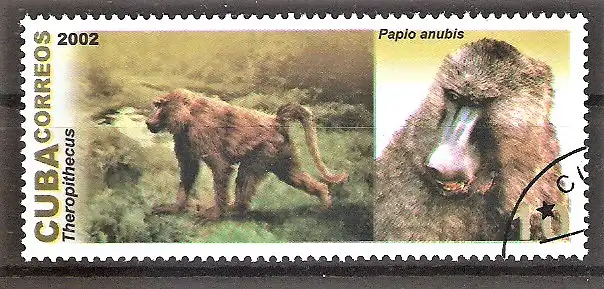 Briefmarke Cuba Mi.Nr. 4488 o Theropithecus & Anubispavian (Papio anubis)