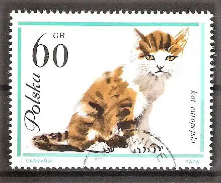 Briefmarke Polen Mi.Nr. 1478 o Europäische Katze