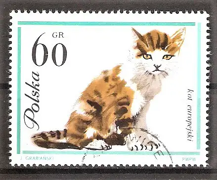 Briefmarke Polen Mi.Nr. 1478 o Katzen 1964 / Europäische Katze