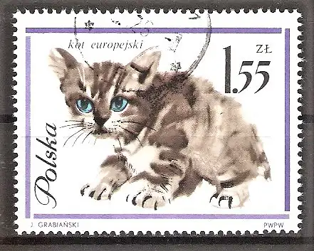 Briefmarke Polen Mi.Nr. 1481 o Katzen 1964 / Europäische Katze