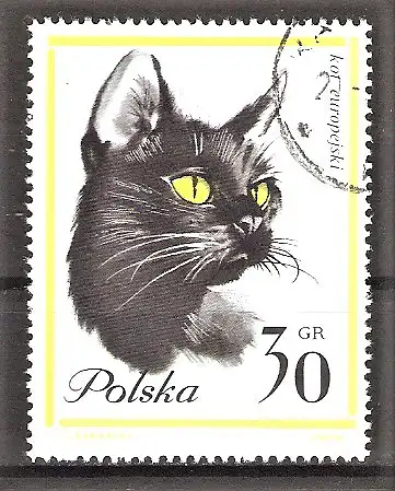 Briefmarke Polen Mi.Nr. 1475 o Europäische Katze
