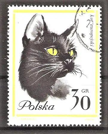 Briefmarke Polen Mi.Nr. 1475 o Katzen 1964 / Europäische Katze