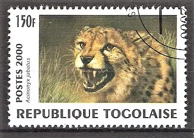 Briefmarke Togo Mi.Nr. 2992 o Großkatzen aus aller Welt 2000 / Gepard (Acinonyx jubatus)