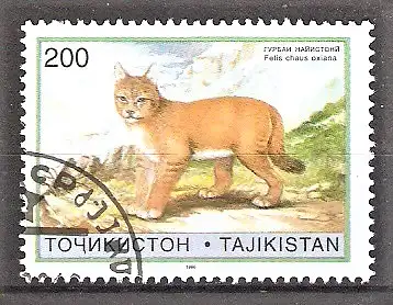 Briefmarke Tadschikistan Mi.Nr. 99 o Kleinkatzen 1996 / Rohrkatze (Felis chaus oxiana)