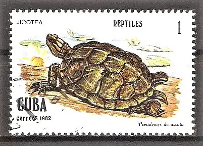 Briefmarke Cuba Mi.Nr. 2667 o Reptilien 1982 / Tropische Schmuckschildkröte (Trachemys decussata)