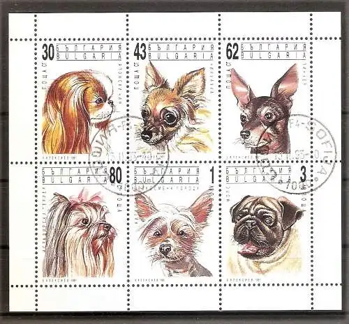 Briefmarke Bulgarien Mi.Nr. 3929-3934 o KLEINBOGEN / Hunde 1991 / Pekinese, Chihuahua, Pinscher, Yorkshire-Terrier, Mischling, Mops