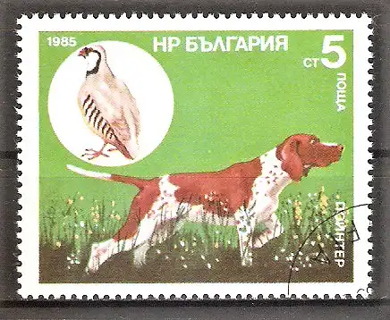 Briefmarke Bulgarien Mi.Nr. 3429 o Jagdhunde 1985 / Pointer & Chukarhuhn