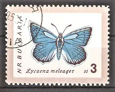 Briefmarke Bulgarien Mi.Nr. 1341 o Schmetterlinge 1962 / Dunkler Feuerfalter (Lycaena daphnis)