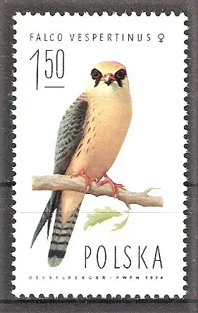 Briefmarke Polen Mi.Nr. 2356 ** Falken 1975 / Rotfußfalke (Falco vespertinus)