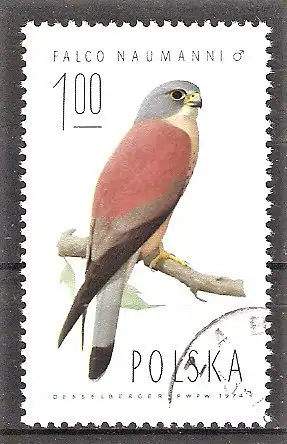 Briefmarke Polen Mi.Nr. 2354 o Falken 1975 / Rötelfalke (Falco naumanni)