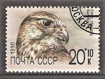 Briefmarke Sowjetunion Mi.Nr. 6080 o Hilfsfonds für die sowjetischen Tiergärten 1990 / Würgfalke (Falco cherrug)