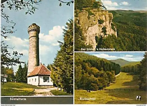 Ansichtskarte Deutschland - Hameln / Süntelturm (83)
