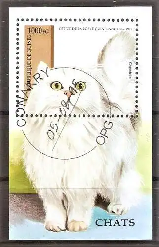Briefmarke Guinea Block 492 o (Mi.Nr. 1520) Katzen 1995 / Chinchilla-Katze