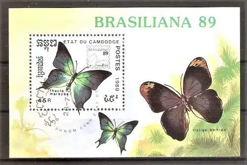 Briefmarke Kambodscha Block 170 o (Mi.Nr. 1082) Schmetterlinge 1989 / (Pseudolycaena marsyas)