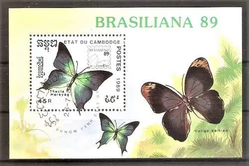 Briefmarke Kambodscha Block 170 o (Mi.Nr. 1082) Schmetterlinge (Pseudolycaena marsyas)