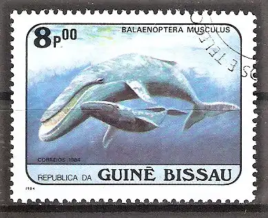 Briefmarke Guinea-Bissau Mi.Nr. 805 o Wale 1984 / Blauwal (Balaenoptera musculus)
