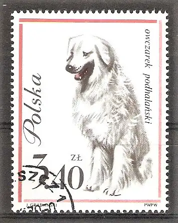 Briefmarke Polen Mi.Nr. 1381 o Hunderassen 1963 / Podhalaner Berghund