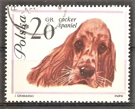 Briefmarke Polen Mi.Nr. 1374 o Hunderassen 1963 / Cockerspaniel