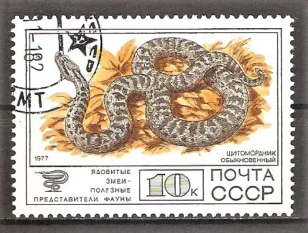 Briefmarke Sowjetunion Mi.Nr. 4681 o Giftschlangen und Säugetiere 1977 / Dreieckskopfotter (Agkistrodon halys caraganus)