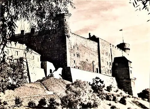 Ansichtskarte Estland - Tallinn / Toompea Linnus (2510)
