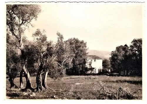 Ansichtskarte Frankreich - Cote d'Azur / Dans la Campagne (2496)