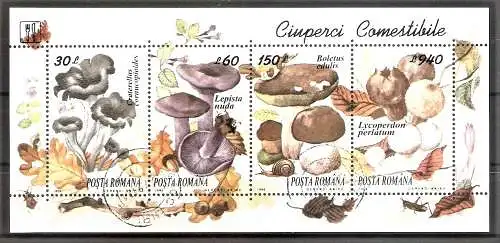 Briefmarke Rumänien BLOCK 292 o (Mi.Nr. 5005-5008) Essbare und giftige Pilze 1994