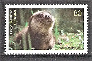 Briefmarke BRD Mi.Nr. 3562 ** Junge Wildtiere 2020 / Fischotter (Lutra lutra)