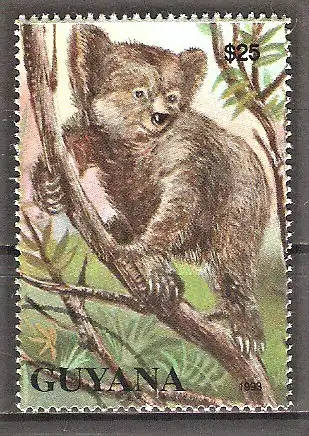 Briefmarke Guyana Mi.Nr. 4150 o Rezente und extinkte Fauna 1993 / Koala