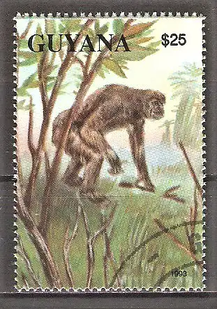 Briefmarke Guyana Mi.Nr. 4151 o Hominide