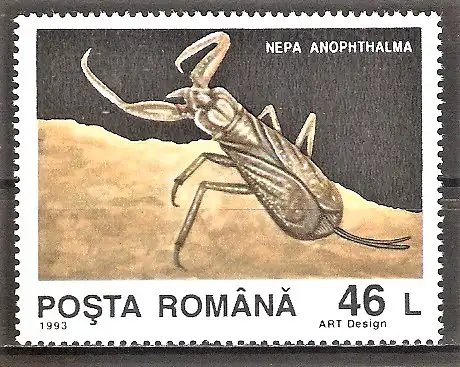 Briefmarke Rumänien Mi.Nr. 4943 ** Tiere aus der Grotte von Movile 1993 / Wasserskorpion (Nepa anophthalma)