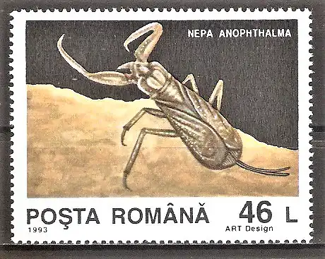 Briefmarke Rumänien Mi.Nr. 4943 ** Wasserskorpion (Nepa anophthalma)