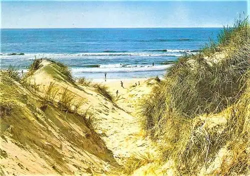 Ansichtskarte Deutschland - Sylt / Dünen am Meer (1781)