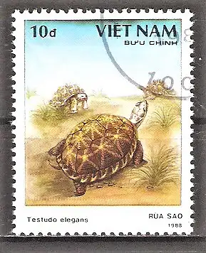 Briefmarke Vietnam Mi.Nr. 2036 o Schildkröten 1989 / Sternschildkröte (Testudo elegans)