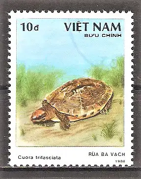 Briefmarke Vietnam Mi.Nr. 2037 o Schildkröten 1989 / Dreistreifen-Scharnierschildkröte (Cuora trifasciata)