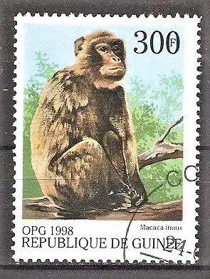 Briefmarke Guinea Mi.Nr. 1954 o Affen aus aller Welt 1998 / Javaneraffe (Macaca irus)